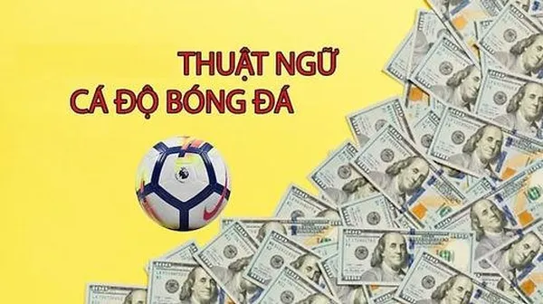 Tài xỉu - Cược Nhất Định